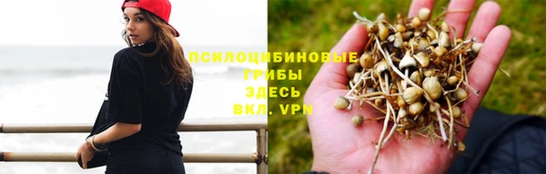 дживик Нягань