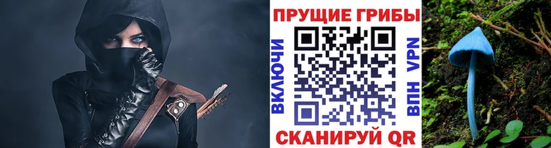 купить  цена  Шахунья  Галлюциногенные грибы GOLDEN TEACHER 